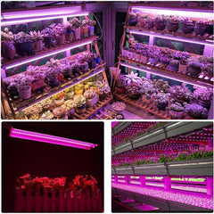 Lampa dubla pentru cresterea plantelor Kaveny, 50 cm, T5, tehnologie LED, nu afecteaza plantele, potrivit pentru intregul ciclu de crestere, multicolor