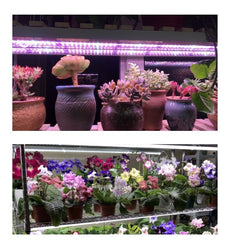 Lampa dubla pentru cresterea plantelor Kaveny, 50 cm, T5, tehnologie LED, nu afecteaza plantele, potrivit pentru intregul ciclu de crestere, multicolor