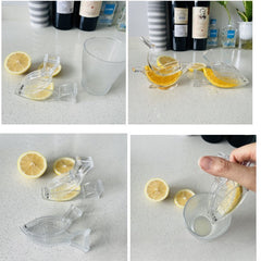 Storcator de Citrice Manual, Kadeny, Rezistente, Usor de Folosit si Depozitat, Durabil, Calitativ, 12x5.2 cm, Model Peste, Transparent