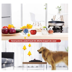 Cronometru mecanic de bucatarie Kadeny, forma de rosie, 60 de minute, 6.3 x 4.5 cm, material ABS, rosu