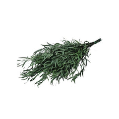 Foliage Nicoly, punga 12g, Colorarte