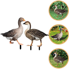 Decoratiune de Gradina, Kadeny, Model Gasca Salbatica, Tip Placa, Grosime 3 mm, Fata-Verso, 27 x 30 cm, Maro