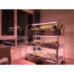 Lampa dubla pentru cresterea plantelor Kaveny, 50 cm, T5, tehnologie LED, nu afecteaza plantele, potrivit pentru intregul ciclu de crestere, lumina alb calda
