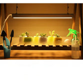 Lampa dubla pentru cresterea plantelor Kaveny, 50 cm, T5, tehnologie LED, nu afecteaza plantele, potrivit pentru intregul ciclu de crestere, lumina alb calda