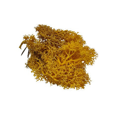 Licheni stabilizati, galben, punga 20g, Colorarte, Q1