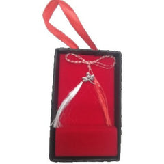 Martisor Argint 925 Libelula 5cm x 8cm
