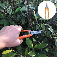 Set 12 Unelte de Gradina, Kadeny, pentru Plantare Prelucrare Sol si Ingrijire Plante, Manere Portocalii, Material PVC si Cardboard, Cutie Inclusa, 37x28 cm, Negru