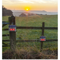 Set 2 Aparate Solare LED cu Ultrasunete, Kadeny, Repelent pentru Animale Mari si Mici, Lumina Rosie si Alba, Anti Rozatoare, Anti Insecte, Frecventa 9-36KHZ, 10.2 x 10.6 x 2.8 cm, Negru