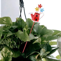 Set 3 Decoratiuni de Gradina, Kadeny, Model Stropitoare, din Fier, 28 x 5 cm, Multicolor