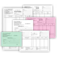 Tipizat - CMR - A4, portret, 3 exemplare, carnet 50 seturi