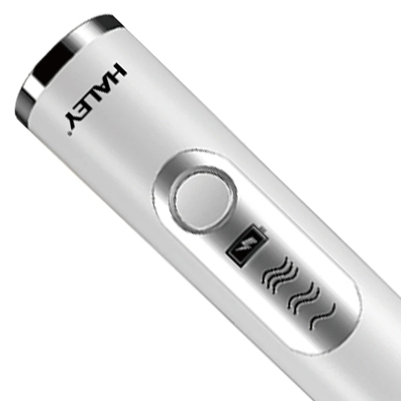 Spumator de Lapte Electric HALEY HY-1130, 20W, 3 Viteze, Incarcare USB, 2 Capete Inox, Multifunctional 2 in 1