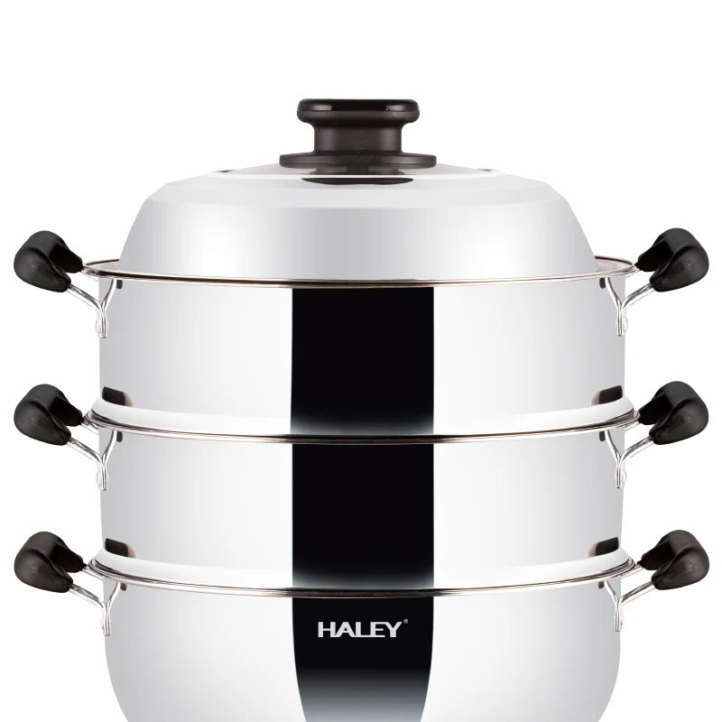 Vas Electric Multifunctional HALEY HY-501, 2100W, Inox Premium cu Abur pe Doua Nivele, Ideal pentru Gatit Sanatos Acasa sau la Hotel