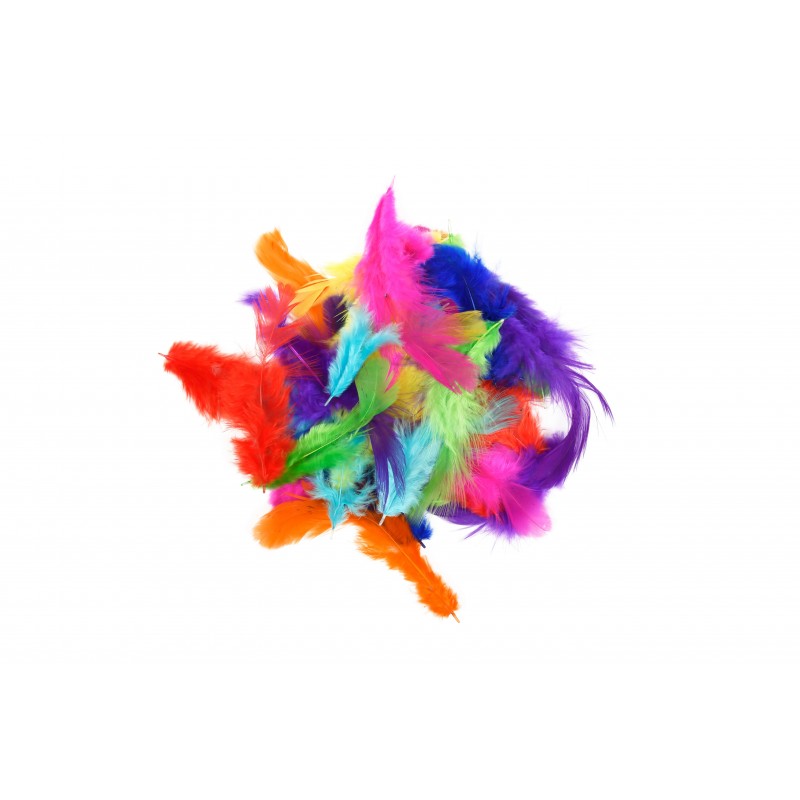 Accesorii creatie - fulgi, 2-10cm, set 100 buc, Colorarte