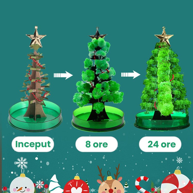 Brad Copac de Hartie Infloritor pe Apa, Kadeny, Jucarie Brad Magic Infloritor de Craciun, Crestere Lenta in 8-24 h, Decoratiune de Craciun, 16.5 x 9.5 x 9.5 cm, Verde