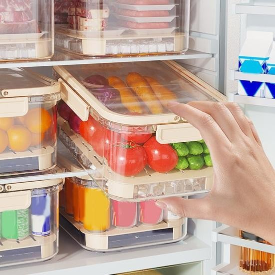 Cutie de Depozitare Portabila, Kadeny, cu Separator pentru Gheata si Scurgere, Mentine Rece, Caserola Pranz, 25x16.5x11.5 cm, Crem/Transparent