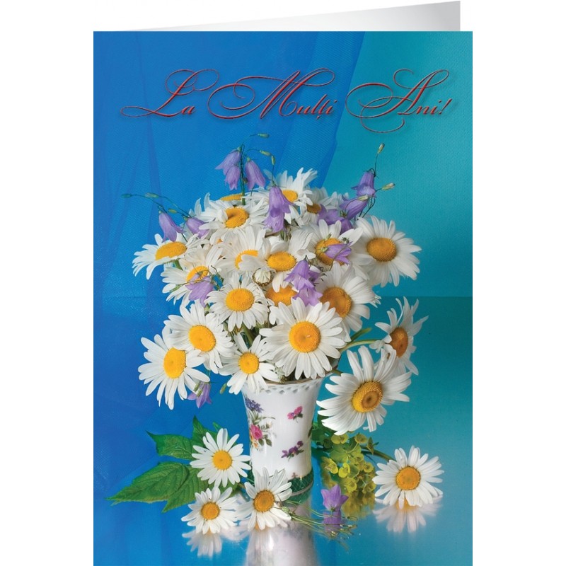 Felicitari Unicart YLUX, modele generale