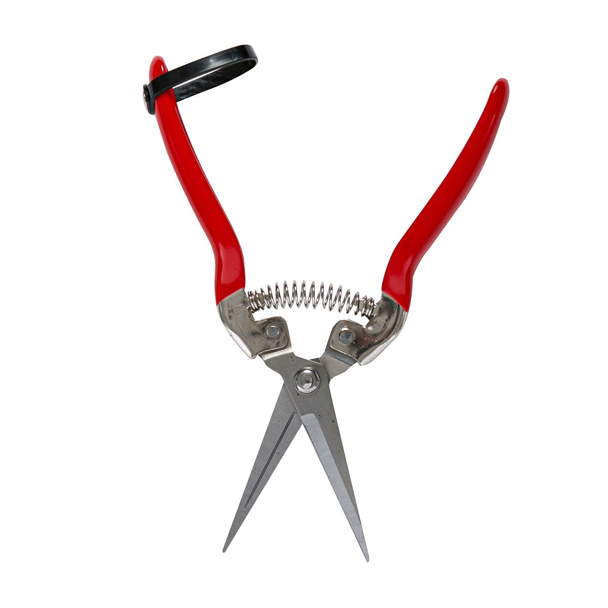 Foarfeca pentru recoltat Micul Fermier, 70mm, dreapta