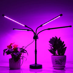 Lampa UV pentru cresterea plantelor, Kadeny, Alimentare cu USB, 20W, 4 capete, 96 LED-uri, 9 nivele lumina, Timer, Inaltime Ajustabila pana la 65 cm Lumina Mov