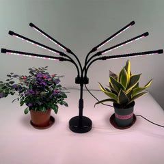 Lampa UV pentru cresterea plantelor, Kadeny, conectare la retea, 30W, 6 capete, 108 LED-uri, ajustabila pana la 68.5 cm, Lumina Alb Mov