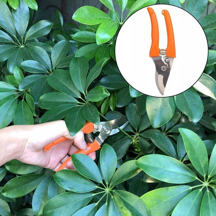 Set 12 Unelte de Gradina, Kadeny, pentru Plantare Prelucrare Sol si Ingrijire Plante, Manere Portocalii, Material PVC si Cardboard, Cutie Inclusa, 37x28 cm, Negru