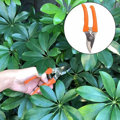 Set 12 Unelte de Gradina, Kadeny, pentru Plantare Prelucrare Sol si Ingrijire Plante, Manere Portocalii, Material PVC si Cardboard, Cutie Inclusa, 37x28 cm, Negru