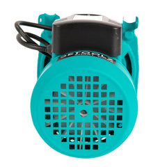 Pompa de suprafata Detoolz 0.75 kW, debit 2800l/h, inaltime de pompare 43m, carcasa pompa fonta