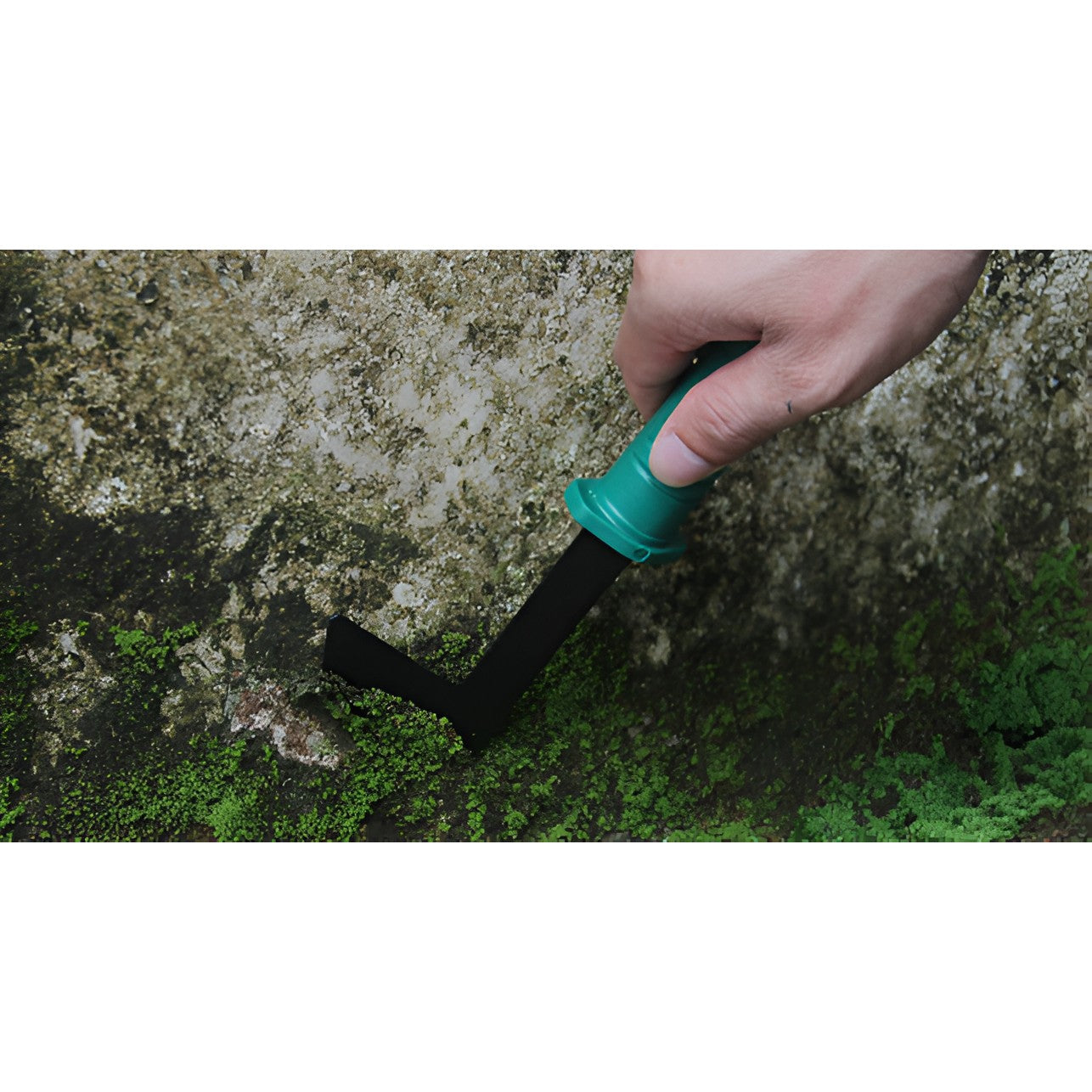 Set 12 Unelte de Gradina, Kadeny, pentru Plantare Prelucrare Sol si Ingrijire Plante, Material PVC si Cardboard, Cutie Inclusa, 37x28 cm, Verde