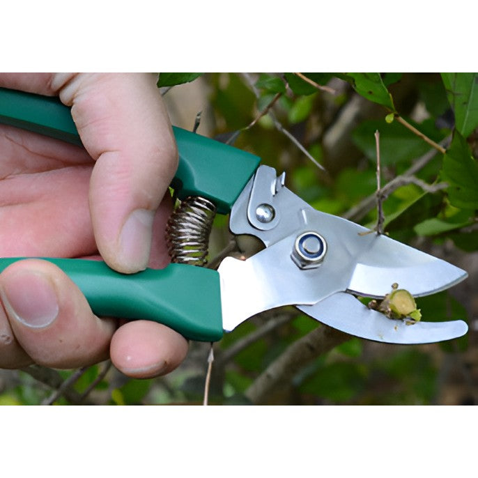 Set 12 Unelte de Gradina, Kadeny, pentru Plantare Prelucrare Sol si Ingrijire Plante, Material PVC si Otel, Cutie Inclusa, 38 x 29 cm, Verde Deschis