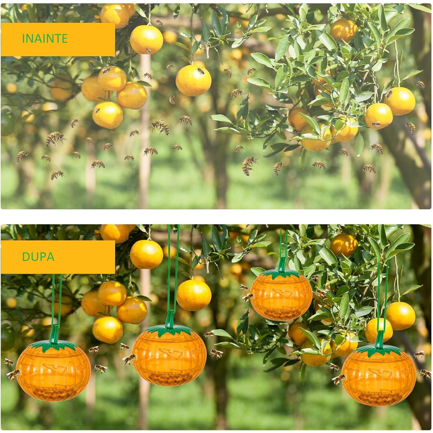 Set 2 Capcane pentru Insecte, Kadeny, Forma de Dovleac, 12x9.2x12.2 cm, din ABS, Portocaliu