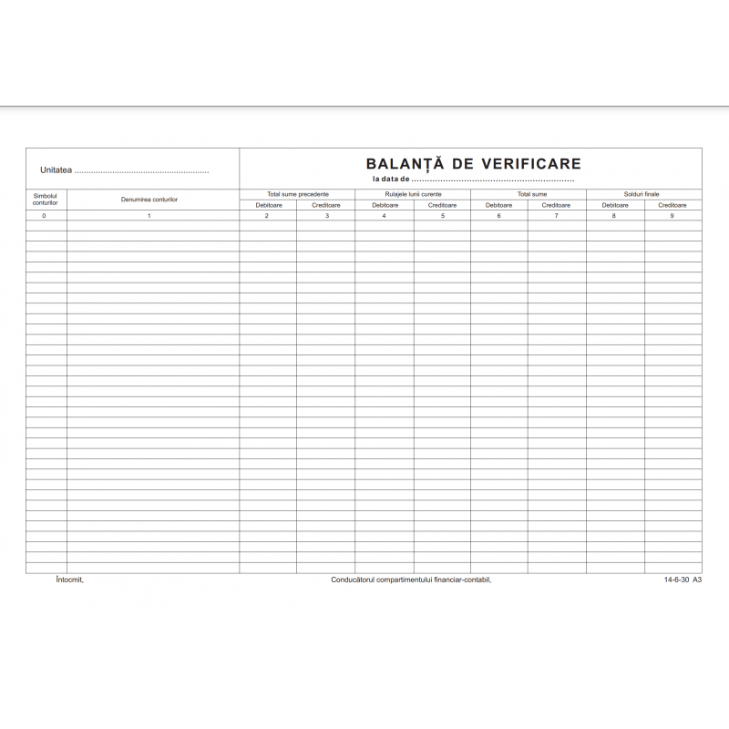 Tipizat - balanta verificare - A3, landscape, simplu